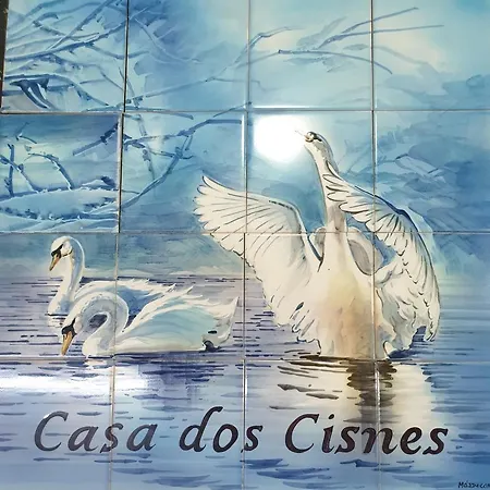 Casa Dos Cisnes - Serra Da Estrela - - Gouveia - Portugal